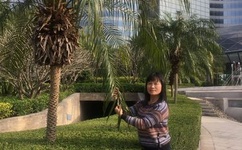 吉尺明步哪部最好看